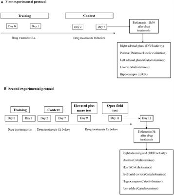 Treatment With Nepicastat Decreases Contextual Traumatic Memories Persistence in Post-traumatic Stress Disorder